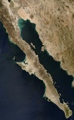 Baja California