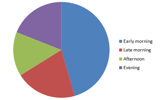 Sightings per phase of the day