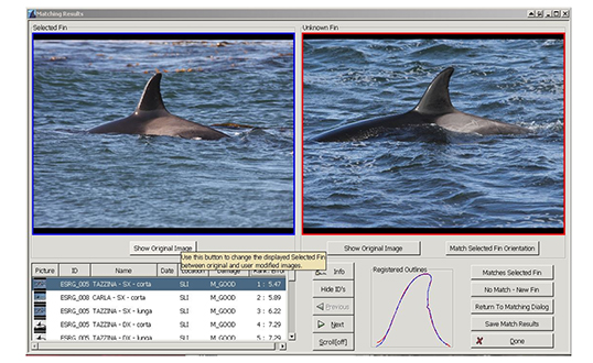 Identification using DARWIN