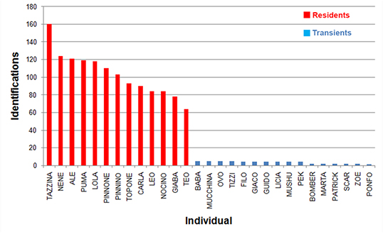 Number of identifications