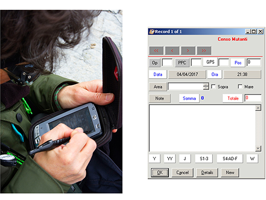 Inputting data on PDA