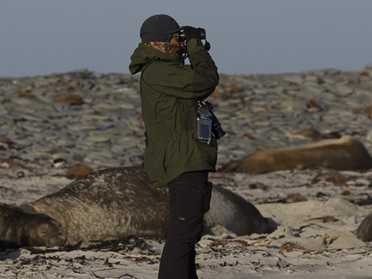 Scanning sea